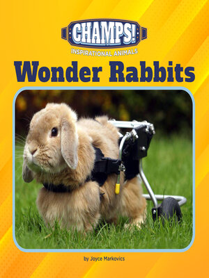 cover image of Wonder Rabbits